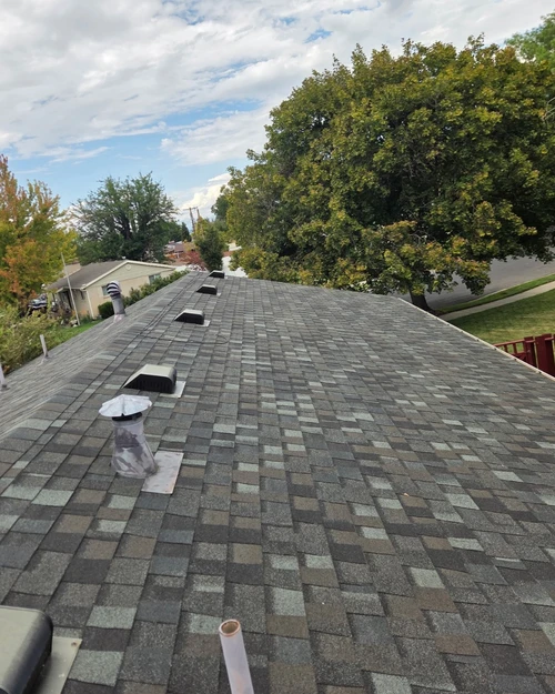 Roof shingles rejuvenated and protected after treatment
